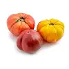 Organic Heirloom Tomato